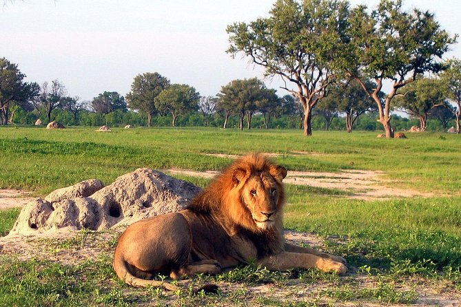 5 Day Victoria Falls and Hwange National Park Accommodated Safari Tour - Accessibility and Fitness