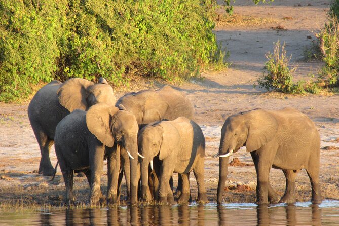 5-Day Victoria Falls and Hwange National Park Tour From Victoria Falls - Important Travel Information