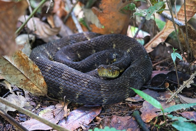 5-Day Wildlife of the Pacaya National Park From Iquitos - What to Pack