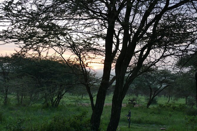 5 Days in to the Heart of Serengeti - Meals Included