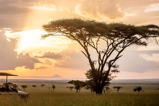 5 Days Northern Tanzania Budget Group Joining Safari - Pickup and Schedule