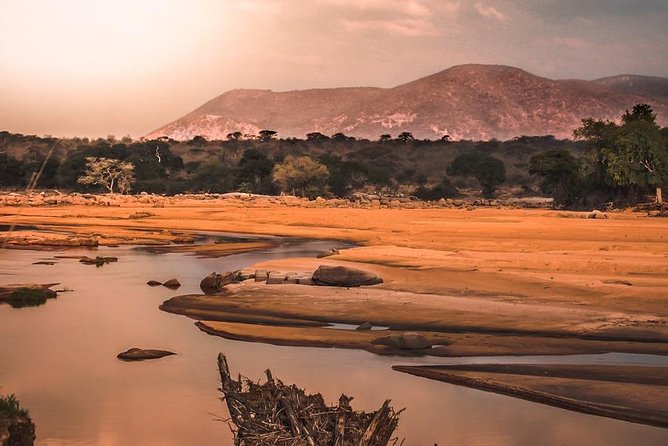 5 Days Ruaha National Park Safari - Meals and Dining