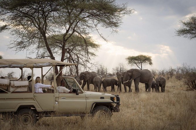 5 Days Safari In Serengeti And Ngorongoro - Meals and Accommodations