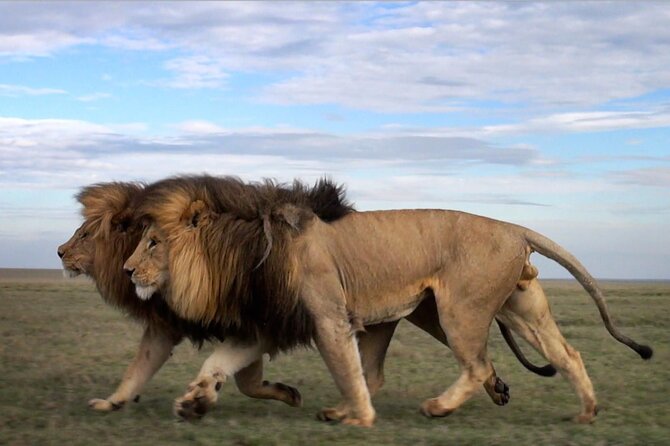 5 Days Tanzania Big 5 Safaris - Accommodation Details