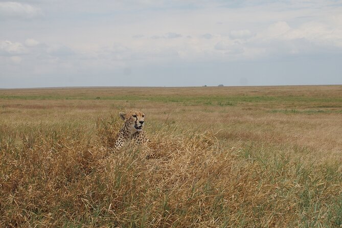 5 Days Tanzania Camping Safari - Discover Ngorongoro Crater