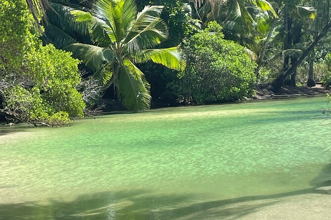 5 Hour Private Customize Tour of Mahe, Seychelles - Accessibility and Participation