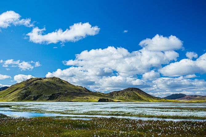 5DAY Pirvate Tour of ICELAND From Reykjavik - Pickup and Scheduling