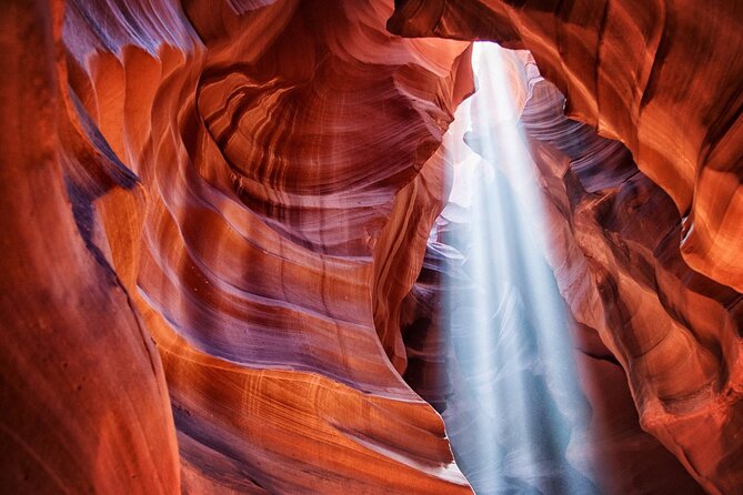 6-Day Famous West Coast National Parks Tour From SF - Itinerary Adjustments and Force Majeure
