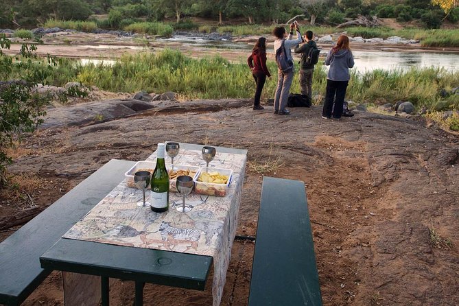 6 Day Lodge and Treehouse Kruger National Park Safari - Wildlife Spotting Opportunities