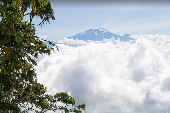 6-Day Mount Meru Climb Through Momella Route Guided Tour - Inclusions and Exclusions