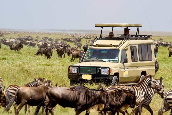 6-Day Tanzania Camping Safari: Lake Manyara, Serengeti, Ngorongoro Cater and Tarangire National Park From Arusha - Meeting and Pickup Information