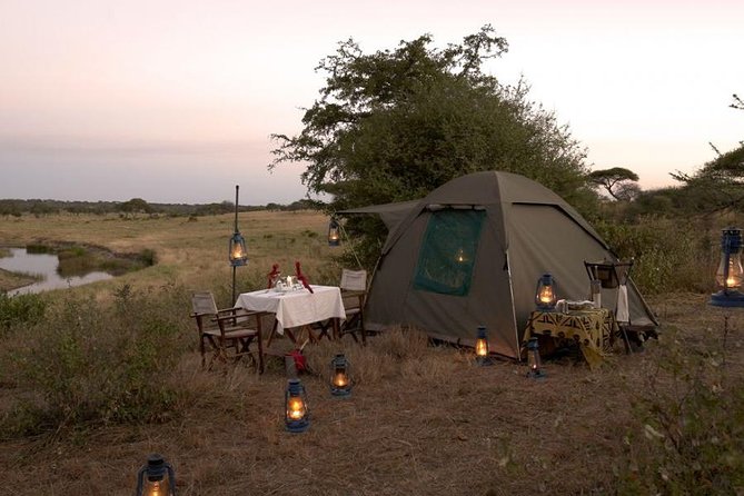 6 Days Budget Tanzania Camping Safari - Transportation and Guides