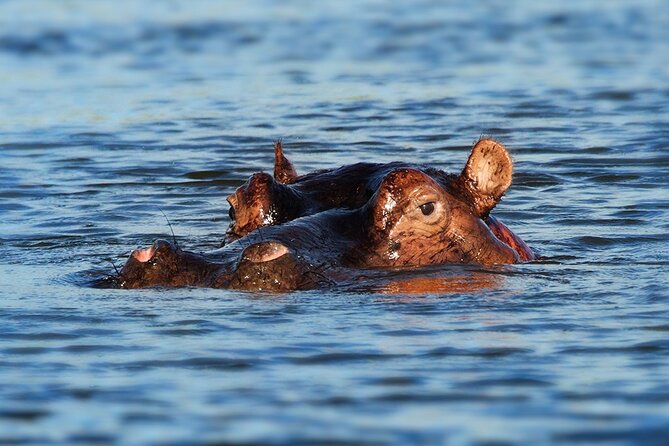 6 Days Luxury Migration Safari-Northern Tanzania - Accommodation and Dining