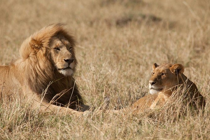 6 Days Masai Mara-Nakuru-Amboseli - Lodge Safari-Private 4X4 JEEP - Participant Considerations