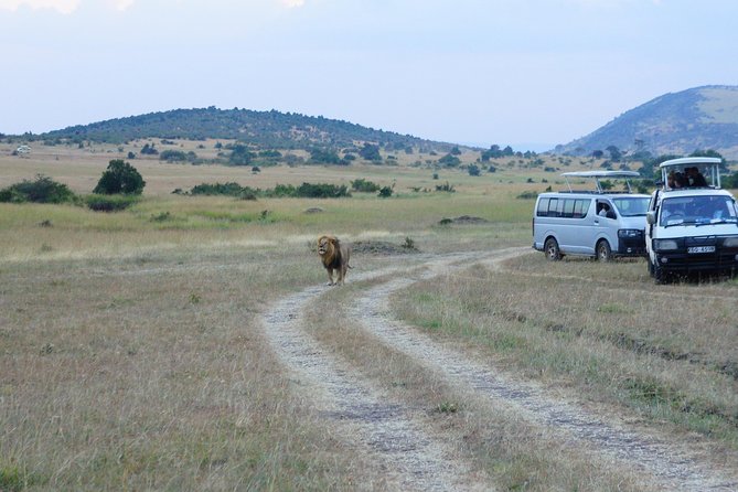 6 Days Private Safari Package Kenya - Inclusion and Exclusion Details