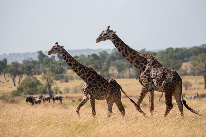 6 Days Private Safari Tour - Pricing Details