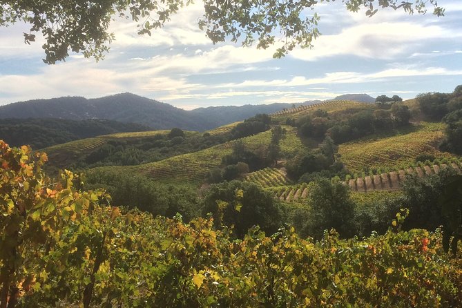 6-Hour Exclusive Wine Tour Experience: Up to 6 Guests - Meeting and Pickup