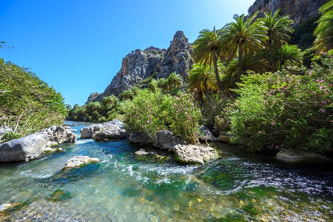 6-Hours Safari Tour in Ammoudi and Preveli Beach From Plakias - Accessibility and Participation