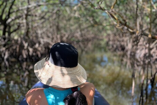 6-Hr Tropical Mangroves, Coastal River and Ocean Wildlife Watch - Accessibility and Requirements