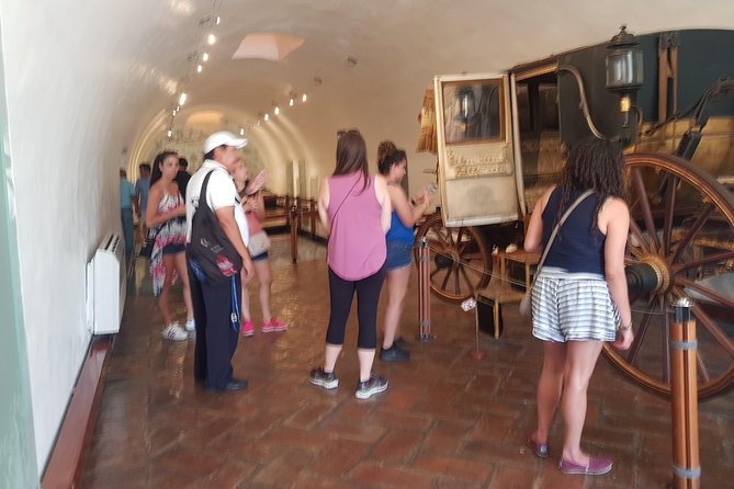 6Hr Walking & Van Tour San Diego Fort Museum Cliff Divers Zocalo - Highlights of the Tour