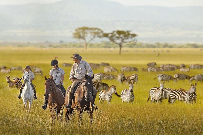 7 Day Joined Safari Serengeti,Ngorongoro,Manyara,Tarangire,Arusha National Park - Included Activities