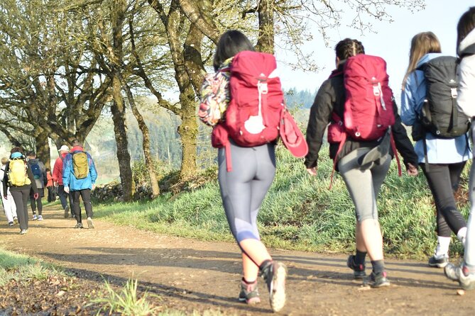 7-Day Portuguese Camino De Santiago Tour From Tui - Meeting and End Points
