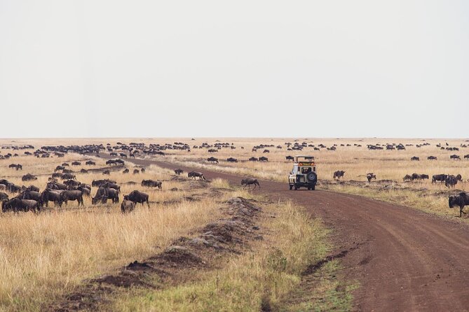 7-Day Private Jeep Safari to 5 Star Lodges With Balloon Ride in Kenya - Whats Included and Excluded