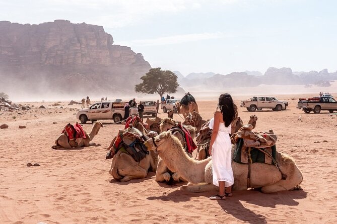 7-Day Super Luxury Tour By Toyota Land Cruiser - Booking and Cancellation Policy