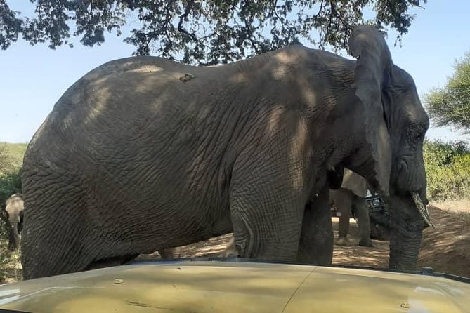 7 Day Tanzania Visiting Arusha, Lake Manyara, Serengeti, Ngorongoro & Tarangire - Wildlife Attractions