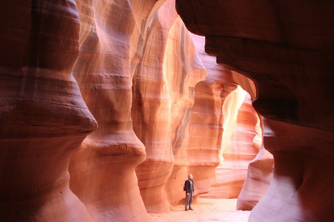 7 Day Western National Parks Tour, Las Vegas to San Francisco via Grand Canyon - Inclusions and Meals