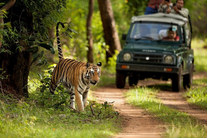 7 Days Golden Triangle Tour With Ranthambore: Delhi Agra Jaipur - Accommodation Details