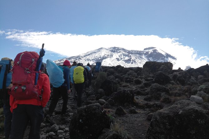 7 Days Lemosho Route Climbing Mt.Kilimanjaro - Meals and Nutrition