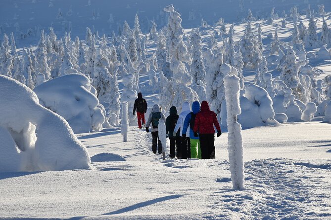 7 Days Winter Lapland Nature Experience - Reviews and Ratings