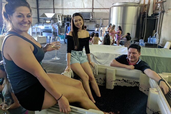 7 Hour Private Santa Barbara Wine Tour - Transportation and Pickup