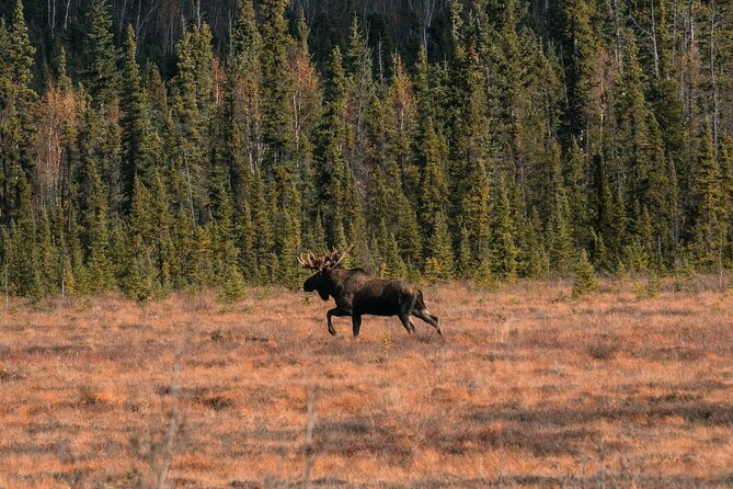 8-12 Hour Private Arctic Circle Experience in Alaska With Lunch - Pickup and Start Time Details