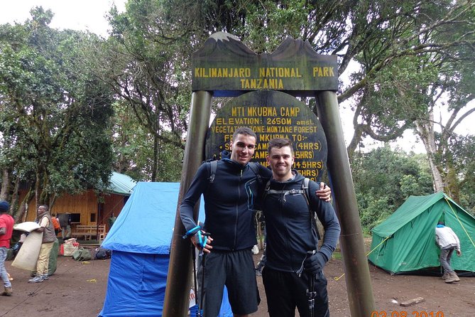 8 Days 7 Nights Kilimanjaro Lemosho Route - Daily Highlights and Challenges