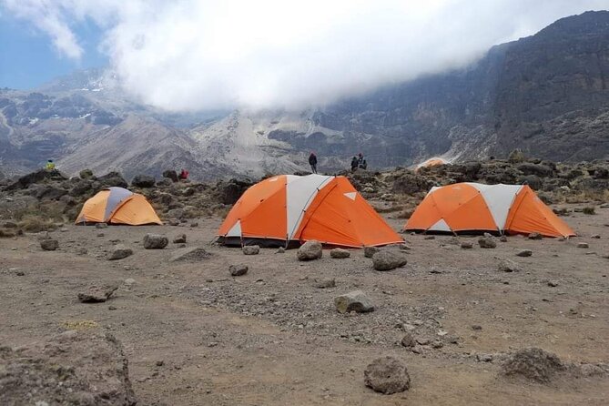 8 Days Climbing Mt.Kilimanjaro (Lemosho Route) - Stunning Scenery and Wildlife