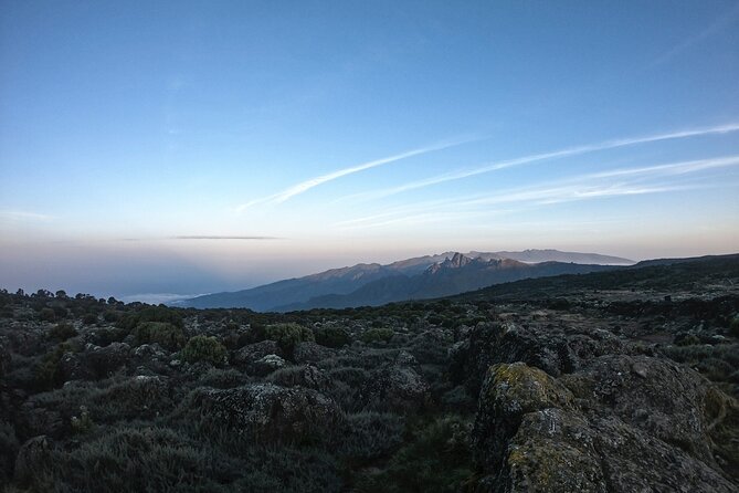 8 Days Climbing Mt.Kilimanjaro (Lemosho Route) - Scenic Highlights and Flora
