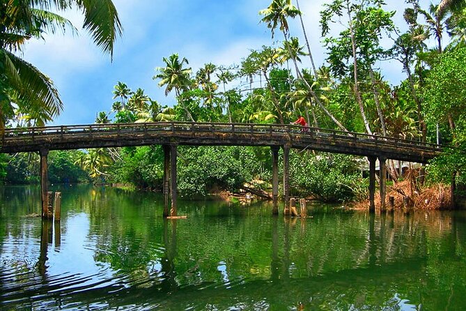 8 Days Kerala Private Tour Covering Kochi- Munnar- Periyar- Alleppey and Kovalam - Inclusions and Exclusions