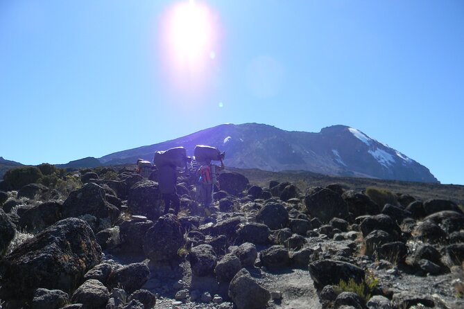 8 Days Kilimanjaro Climbing { Hiking } Tour via Lemosho Route - Inclusions and Exclusions