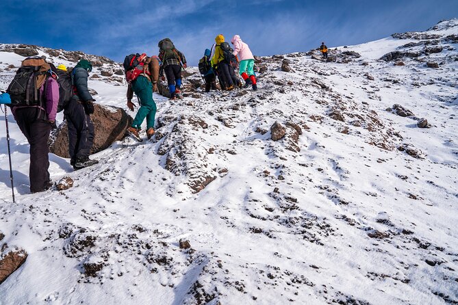 8 Days Mountain Kilimanjaro Lemosho Route - Ethical Practices and Porters