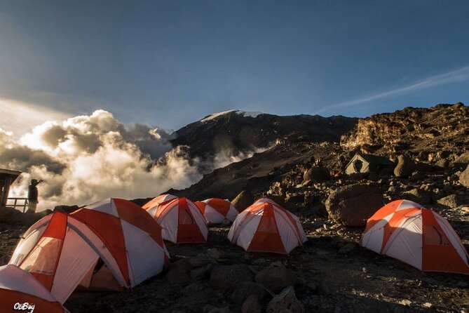 8 Days Mt Kilimanjaro Climb - Lemosho Route - Acclimation Strategies
