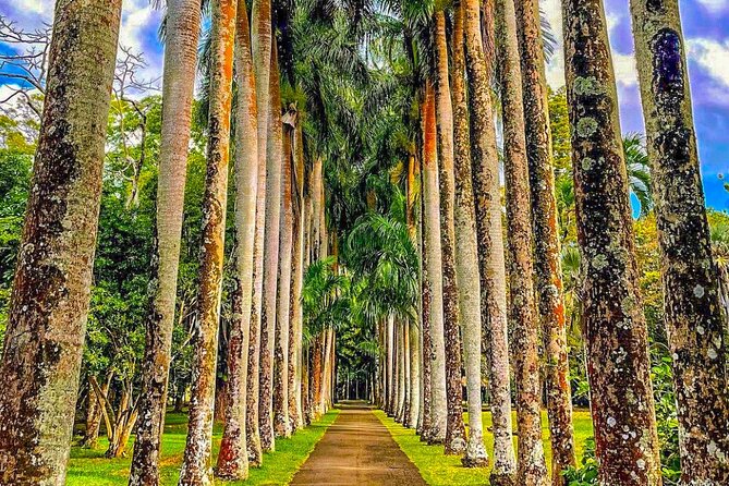 8-Hour Private City and North Tour in Mauritius - Pickup Information