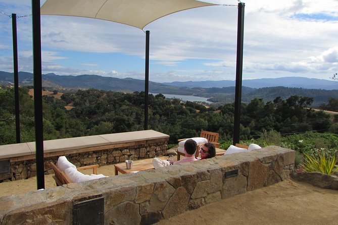 8-Hour Private, Customized Wine Tour up to 6 Guests Napa Valley & Sonoma - Accessibility Features