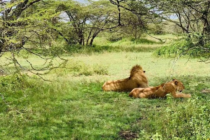 9 Days - Best of Tanzania Safari - Climbing Mount Kilimanjaro