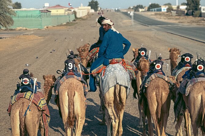 90 Minutes Guided Cultural Camel Riding in Dubai - Health and Safety Considerations