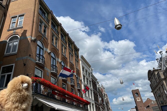 A 3 Days Tour of Belgium and Netherlands From Paris - Accessibility
