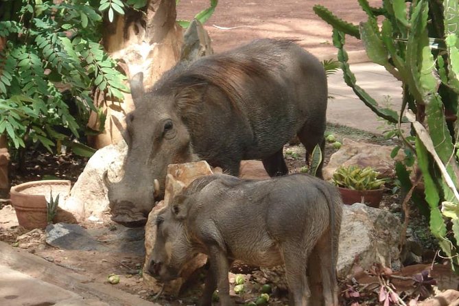 A 4 Days Cultural, Historic And Nature Tour Of Ghanas Southern Side. - Nature Adventures