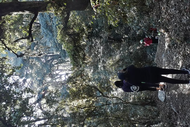 A Day Hike From Kathmandu to Bagadwaar - Pricing Information