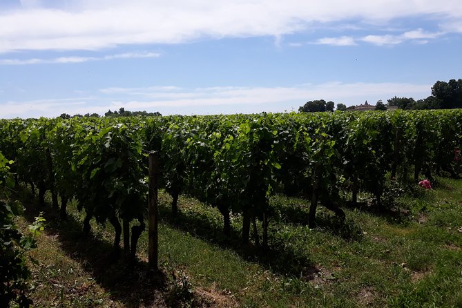 A Day in Saint-Emilion in a Sidecar - Meeting and Pickup